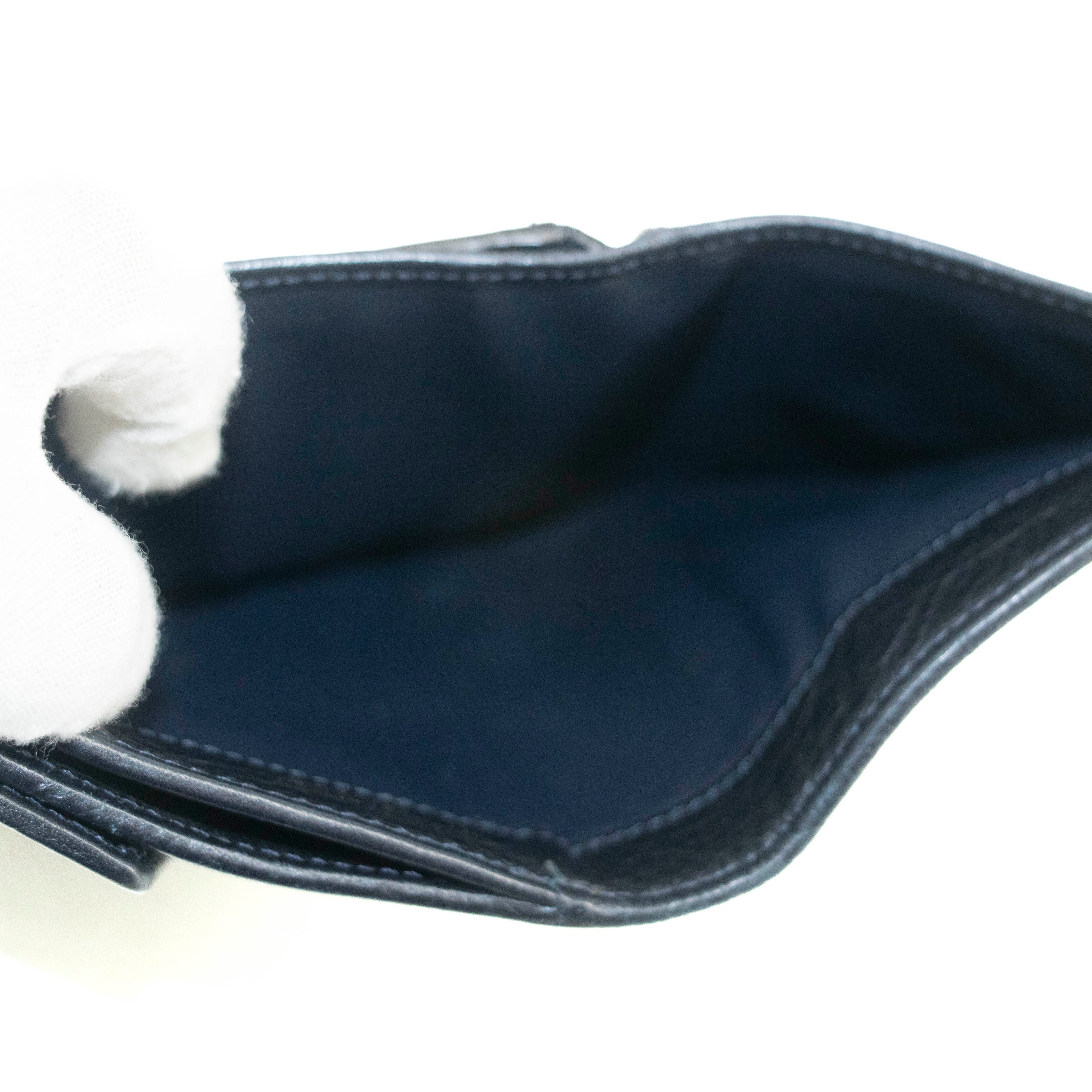 Celine Triomphe Canvas Blue and Grey Fine Strap Wallet #3962