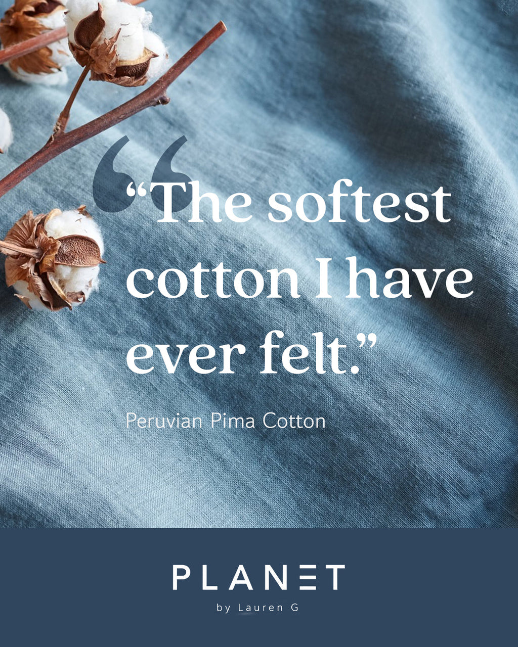 Pima Cotton Jackie O Top - Cornflower blue ladies PLANET by Lauren G soft cowl neck