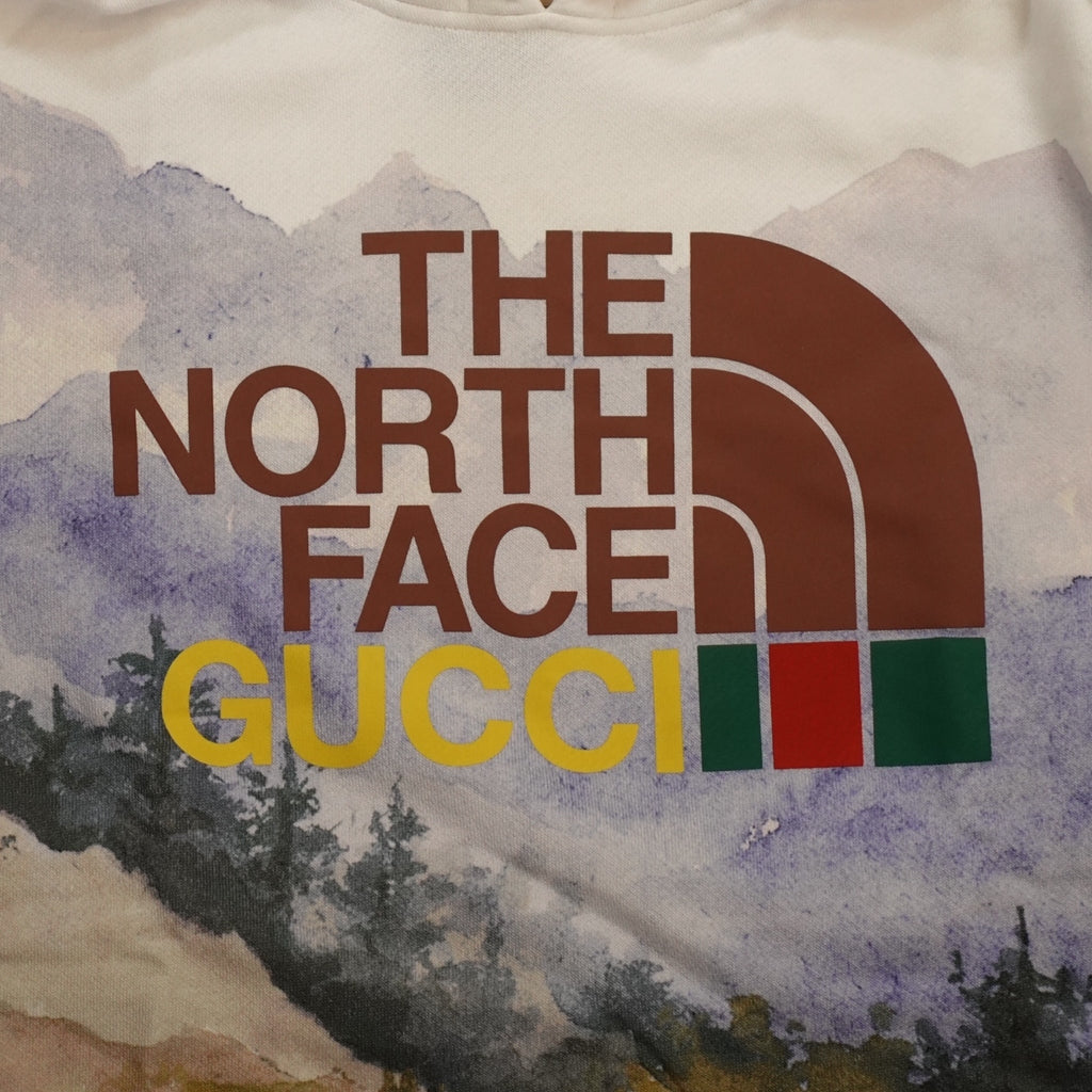 Gucci X The North Face Trail Print Hoodie in Multicolor  XL men's