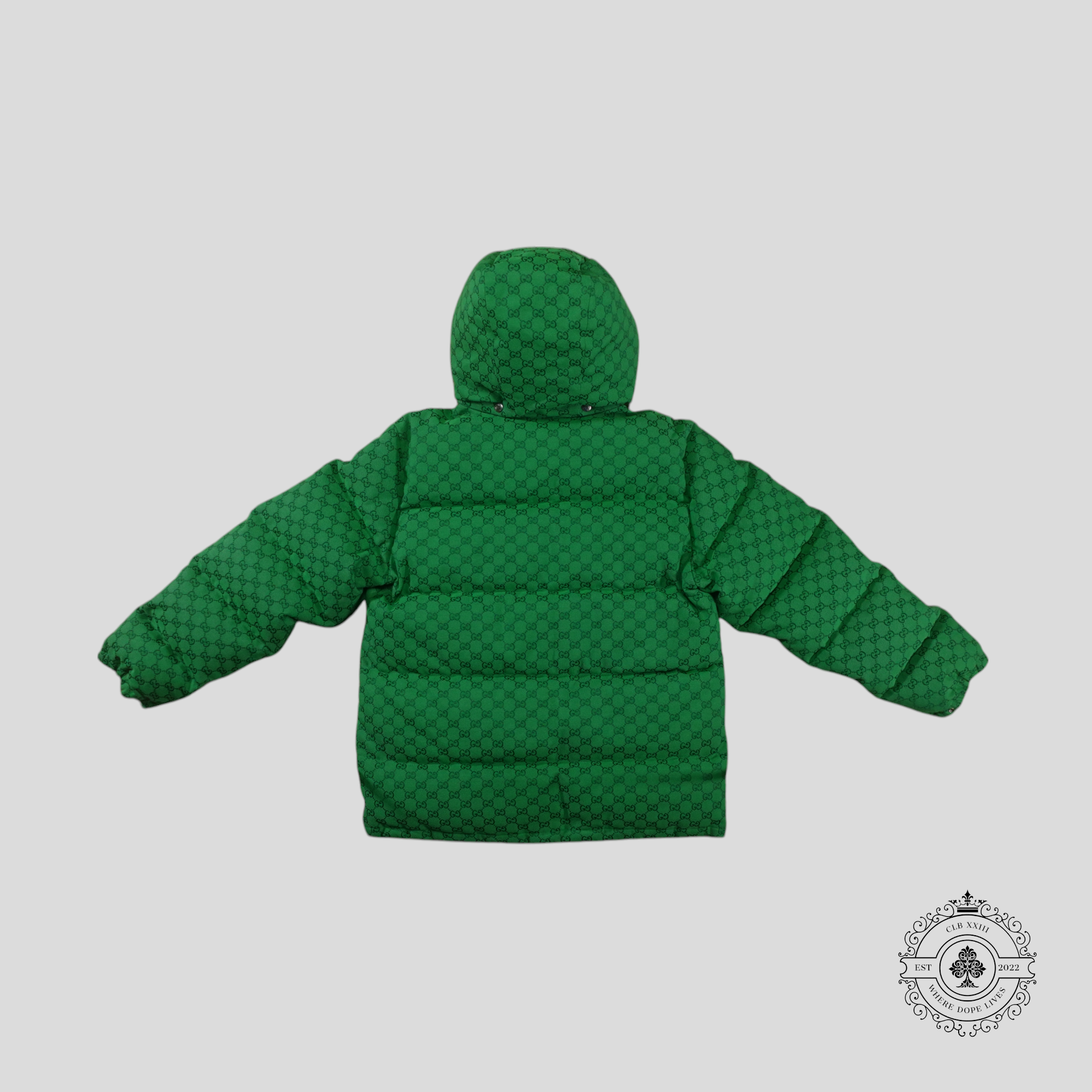 Gucci X The North Face Down Coat in Green Puffer Jacket men's unisex