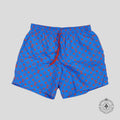 Louis Vuitton Monogram Glow Swim Shorts in Blue swimsuit trunks Large men's