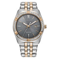 Citizen Men's Eco-drive watch silver gold 2-tone water resistant