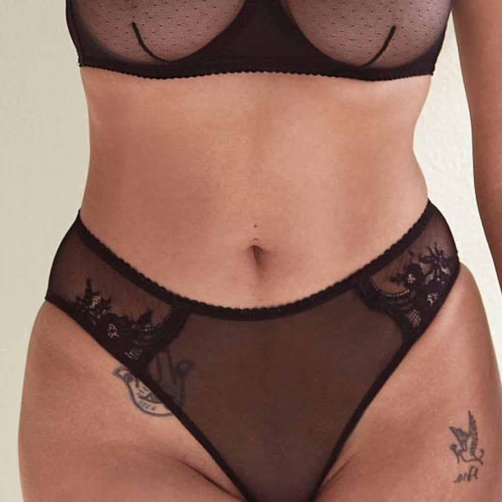 Kim Stretch Lace & Mesh Hipster Brief black panty panties