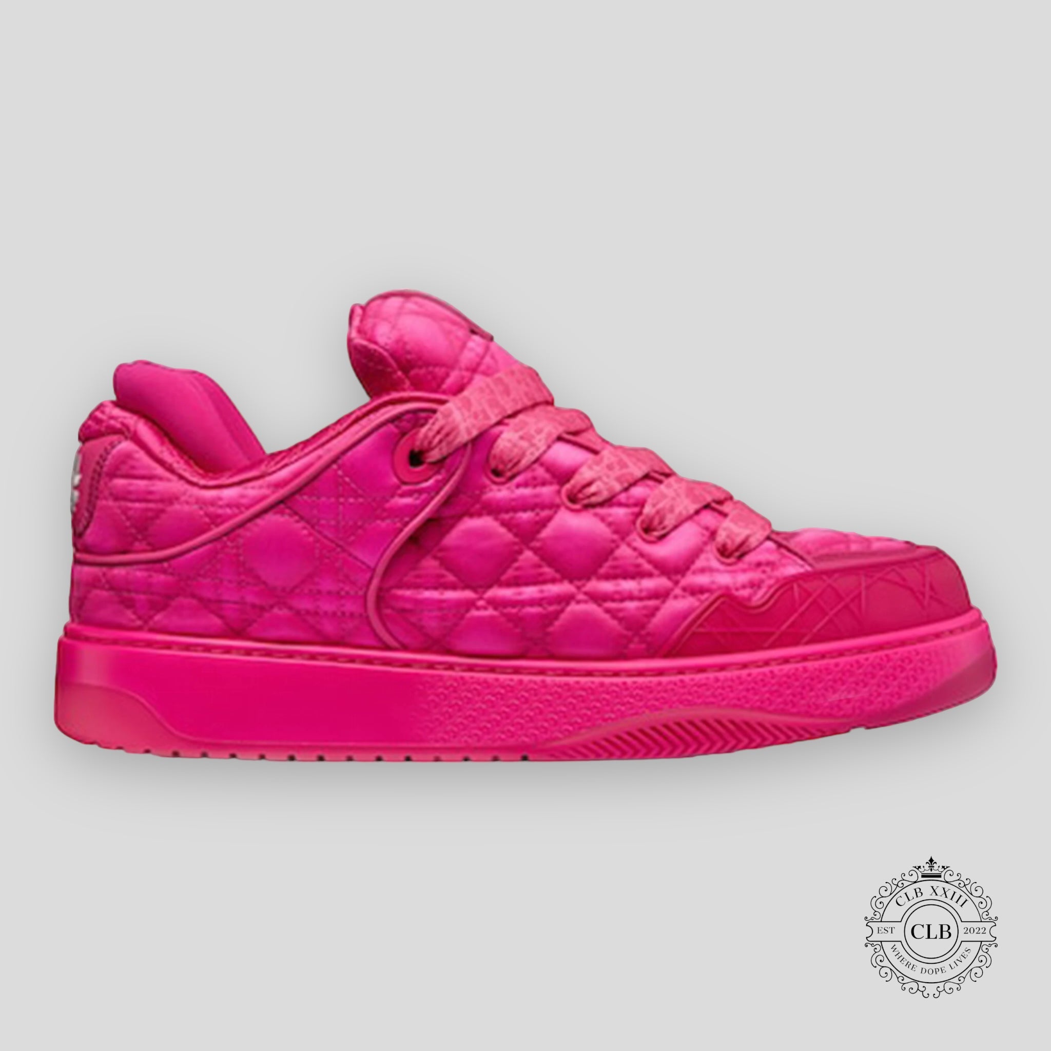 CHRISTIAN DIOR B9S SKATER SNEAKERS “Hot PINK QUILTED” shoes