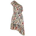 MINKPINK XS ruffled dress one-shoulder off-shoulder wattle wonder-Dresses-Minkpink-XS-Multi-Jenifers Designer Closet